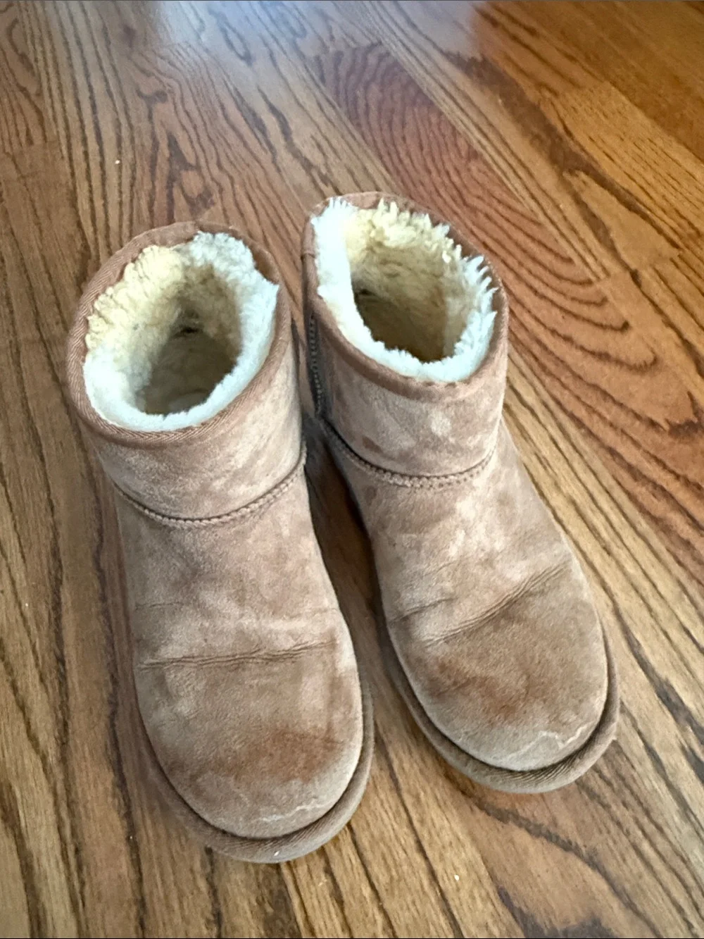 Woman’s Ugg Cozy Shearling-Lined Suede Boots in Chestnut